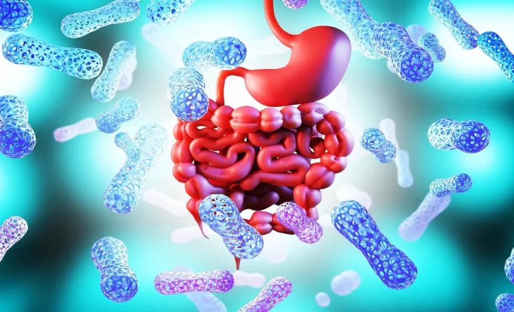 Gut health mental health