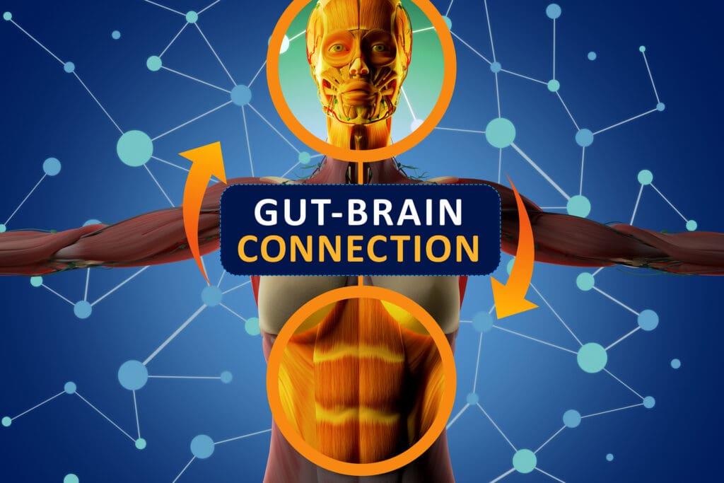 gut brain axis
