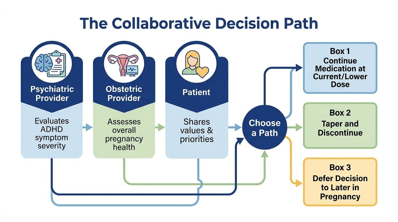 A flowchart titled The Collaborative Decision Path showing psychiatric, obstetric, and patient collaboration for pregnancy medication choices.