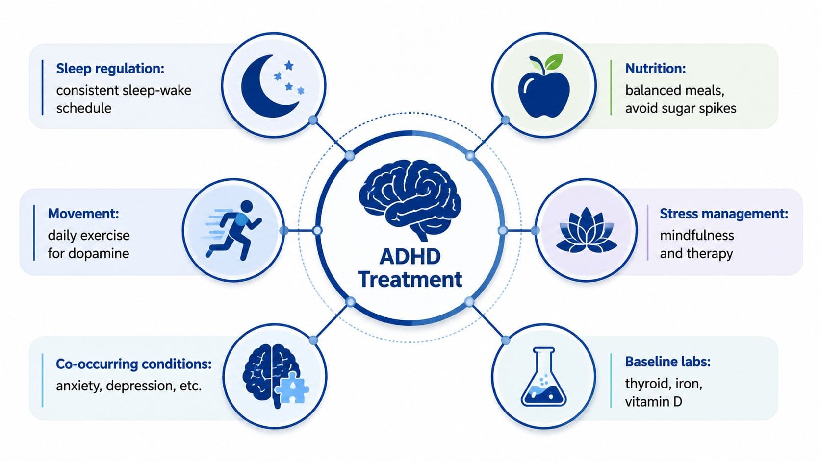 A diagram illustrating six holistic components for ADHD treatment, including sleep, nutrition, movement, stress management, labs, and comorbidities.