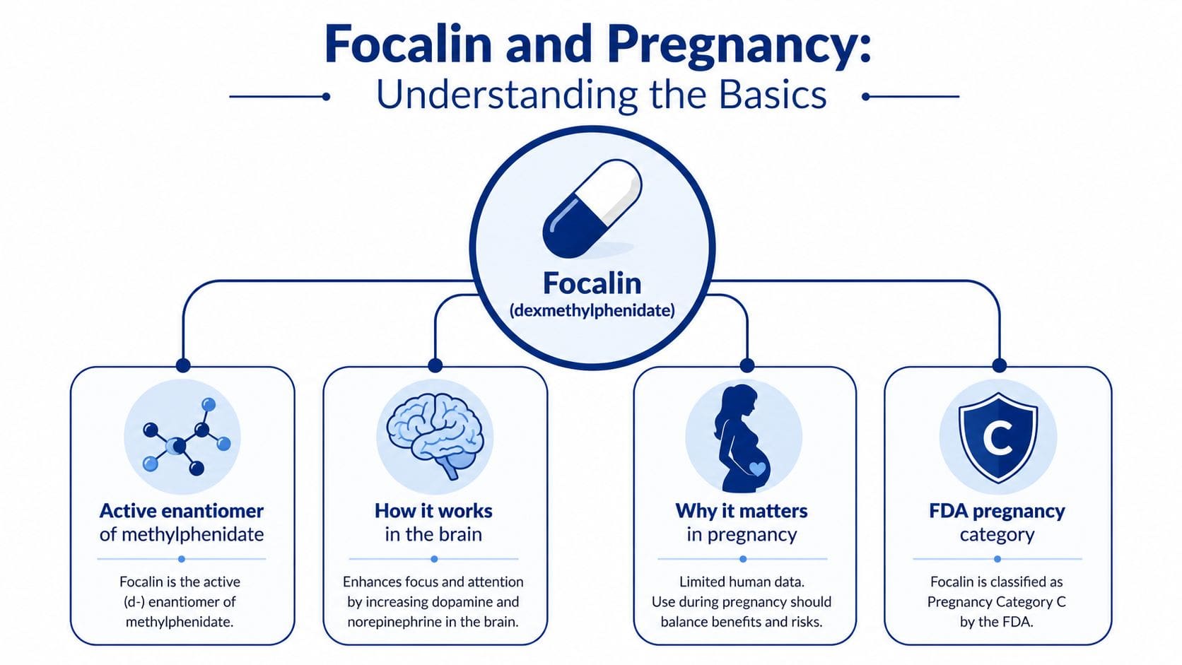 A diagram infographic explaining Focalin, its function in the brain, and FDA pregnancy safety category information.