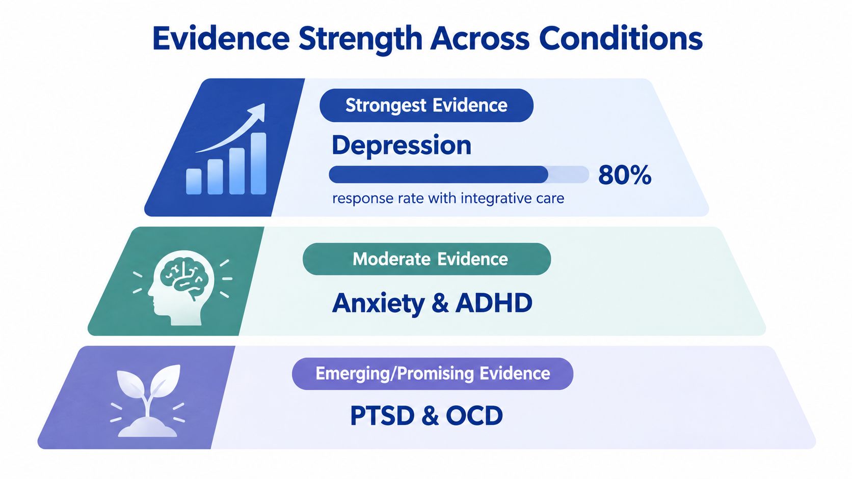 A pyramid chart showing evidence strength for treating conditions using integrative psychiatry including depression, anxiety, and PTSD.
